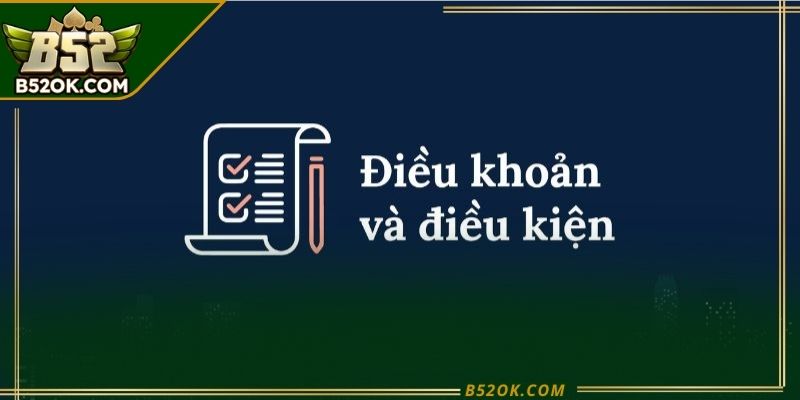 Giao diện mục điều khoản và điều kiện