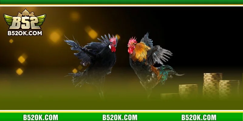 B52 là sảnh chơi đá gà uy tín hàng đầu hiện nay